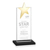Bryanston Gold Star Award