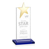 Bryanston Gold Star Award