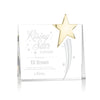 Bradenton Gold Star Award