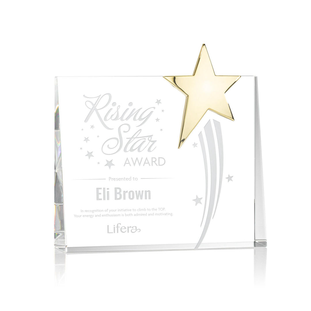 Bradenton Gold Star Award