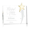 Bradenton Gold Star Award