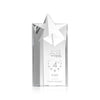 Berkeley Star Tower Award