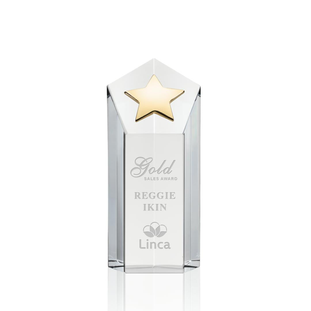 Dorchester Gold Star Award