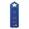 Dorchester Gold Star Award