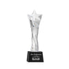 Arlington Star Award on Robson Base