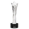 Arlington Star Award on Marvel Base