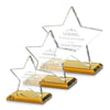 Sudbury Star Award