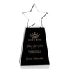 Pioneer Star Award