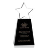 Pioneer Star Award