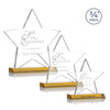 Chippendale Star Award