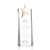 Fanshaw Gold Star Award