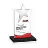 Bryanston Chrome Star VividPrint™ Award