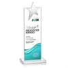 Bryanston Chrome Star VividPrint™ Award