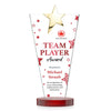 Mantella Gold Star VividPrint™ Award