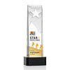 Stapleton Star VividPrint™ Award on Base