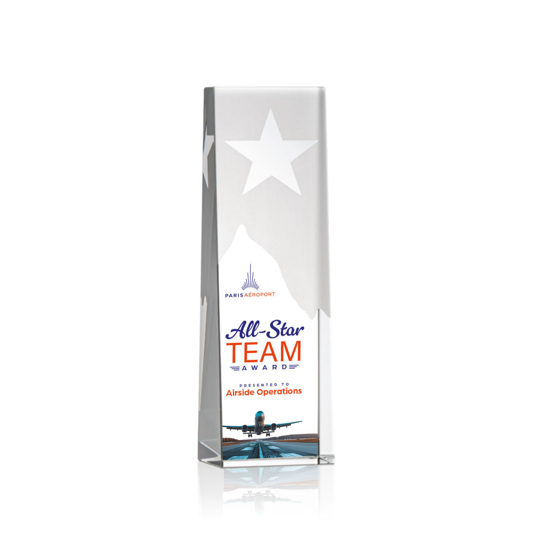 Artemus Star VividPrint™ Award