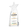 Vernon Star Vividprint™ Award