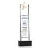 Fanshaw Gold Star VividPrint™ Award on Base