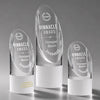 Faccini Award