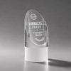 Faccini Award