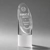 Faccini Award