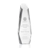 Rawlinson Award