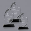 Waldorf Award
