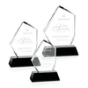 Buddington Award