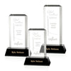 Carrier Award