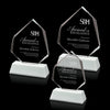 Warner Award