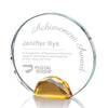 Maplin Award