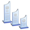 Berrattini Award