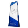 Amstel Award