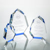 Norwood Award