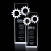 Ricarda Gear Award