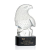 Fredricton Eagle Award on Paragon