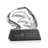 Ottavia 3 Dolphins Award