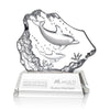 Ottavia 2 Dolphins Award