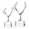 Maverick Eagle Award on Robson Base