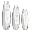Hoover Award