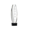 Hoover Award on Paragon Base