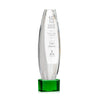 Hoover Award on Paragon Base