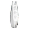 Hoover Award