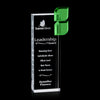 Bernadette Award
