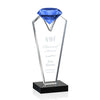 Endeavour Award