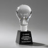 Light Bulb Award – Base & Size Options