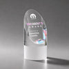 Faccini VividPrint™ Award