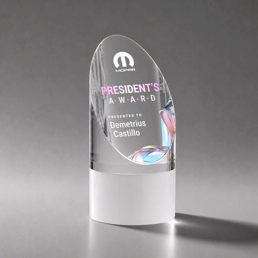 Faccini VividPrint™ Award