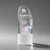 Faccini VividPrint™ Award