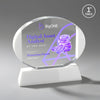 Darwin VividPrint™ Award – Base & Size Options